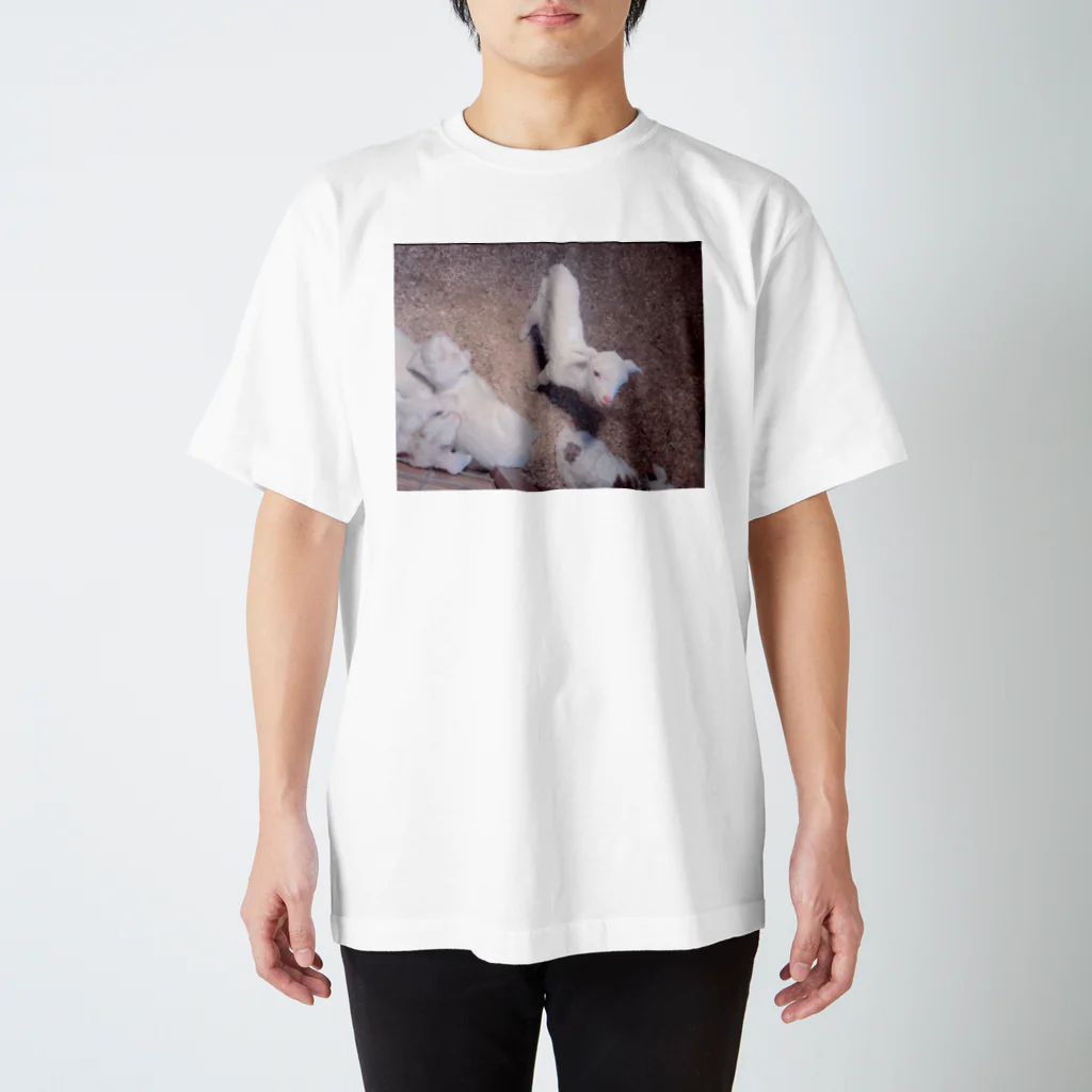 こなたんしょぷーのこやぎ  Regular Fit T-Shirt