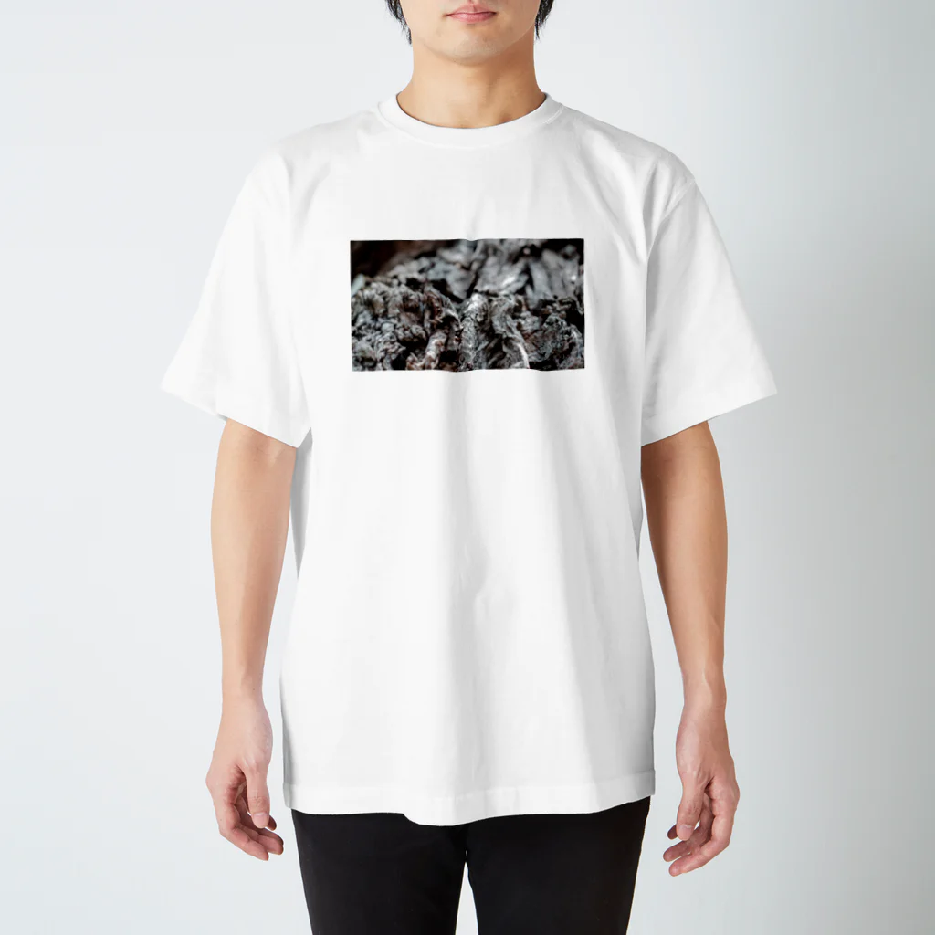 HENMO DESIGN TSHIRTSのOshironoki スタンダードTシャツ