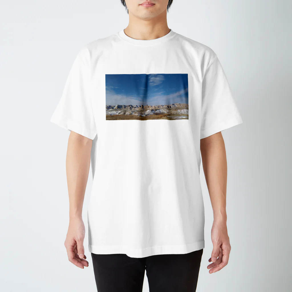 Jadesunmoonのアメリカの景色 スタンダードTシャツ