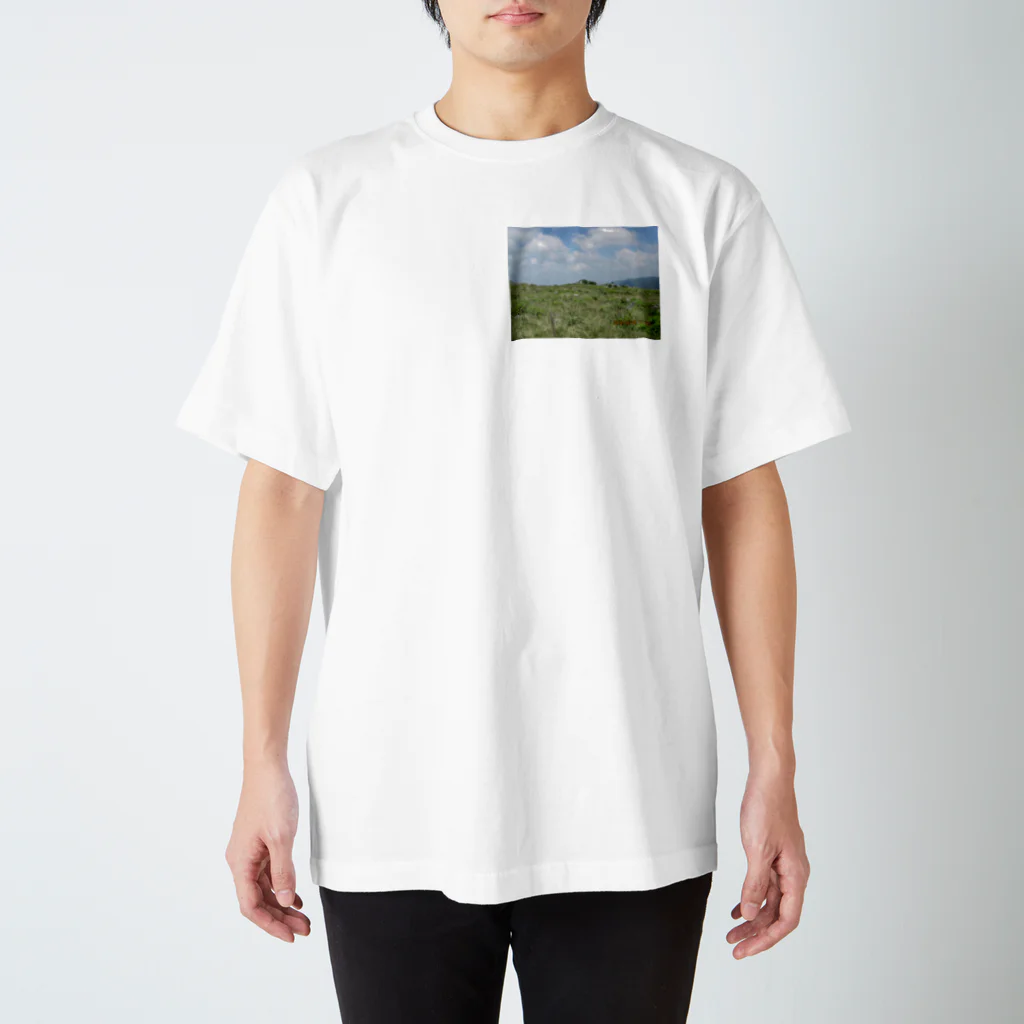 チャレンジャーニシヤマショップの四国カルストの風景 スタンダードTシャツ