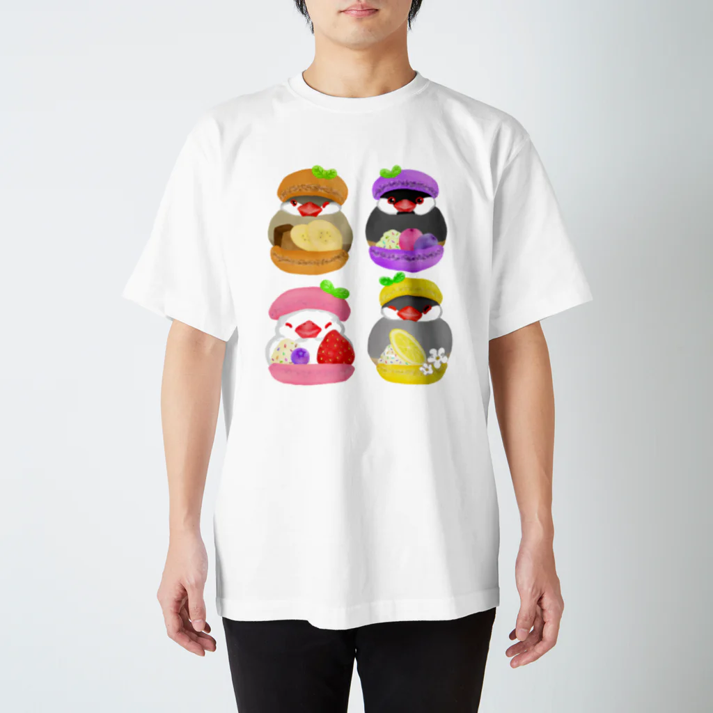 Lily bird（リリーバード）のぎゅっ♪マカロン文鳥ず Regular Fit T-Shirt