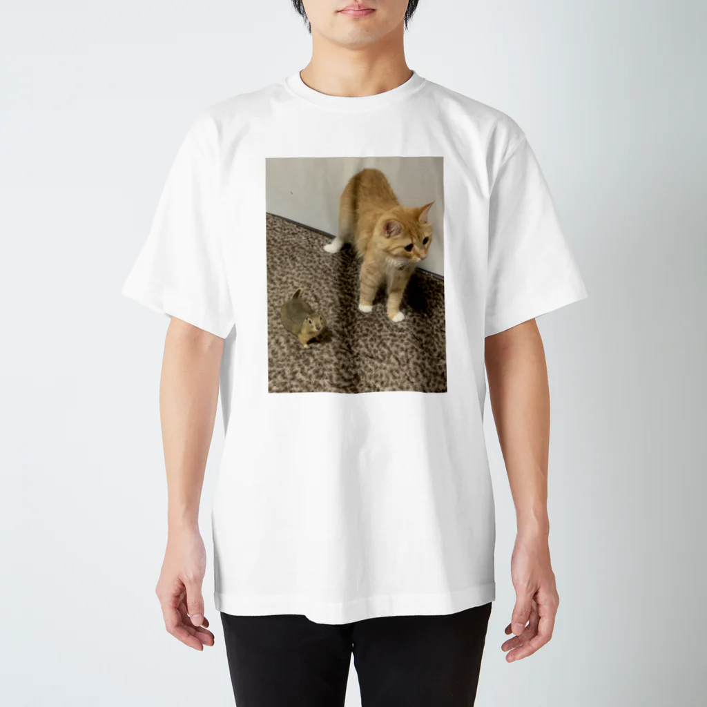 ららのメロロビン🐿🐈 スタンダードTシャツ