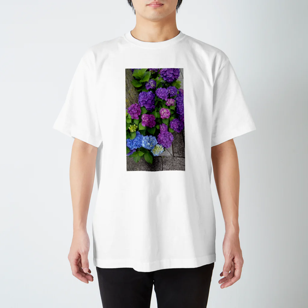 ももたんの紫陽花 Regular Fit T-Shirt