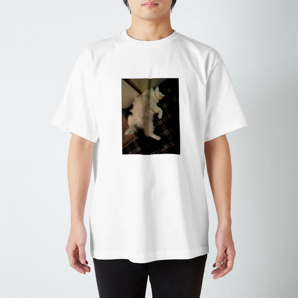 ねこじまんスーベニアショップのねこじまんじるし Regular Fit T-Shirt