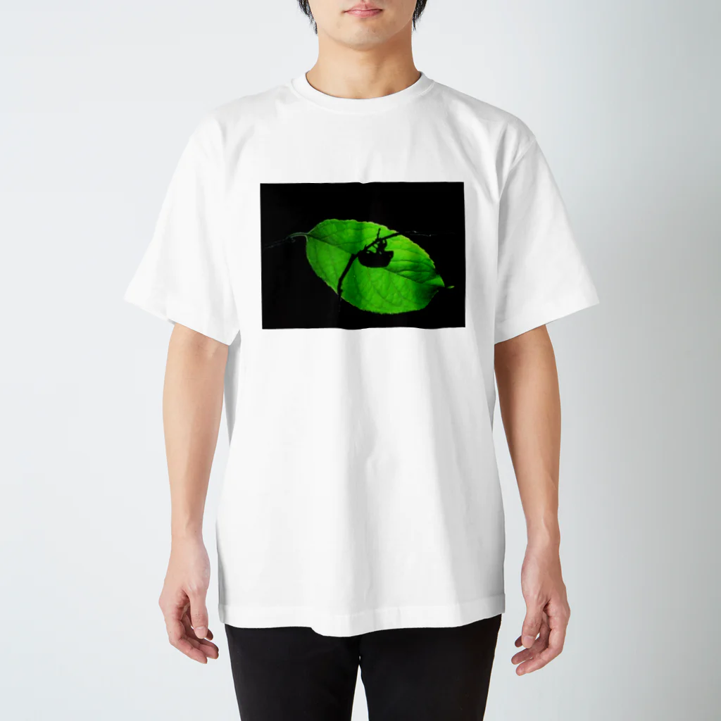 GreenTrexのセミシルエット スタンダードTシャツ