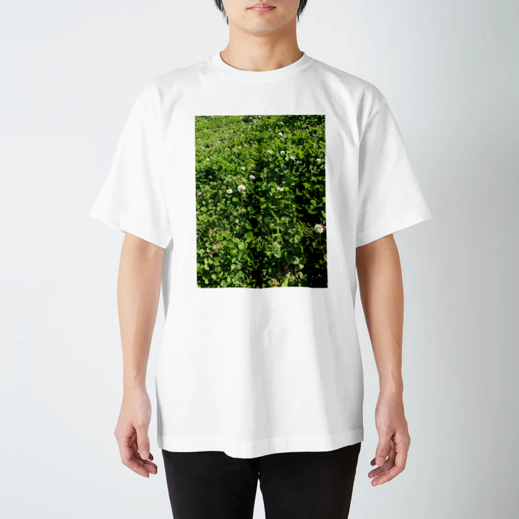 涅槃ねこの草 スタンダードTシャツ