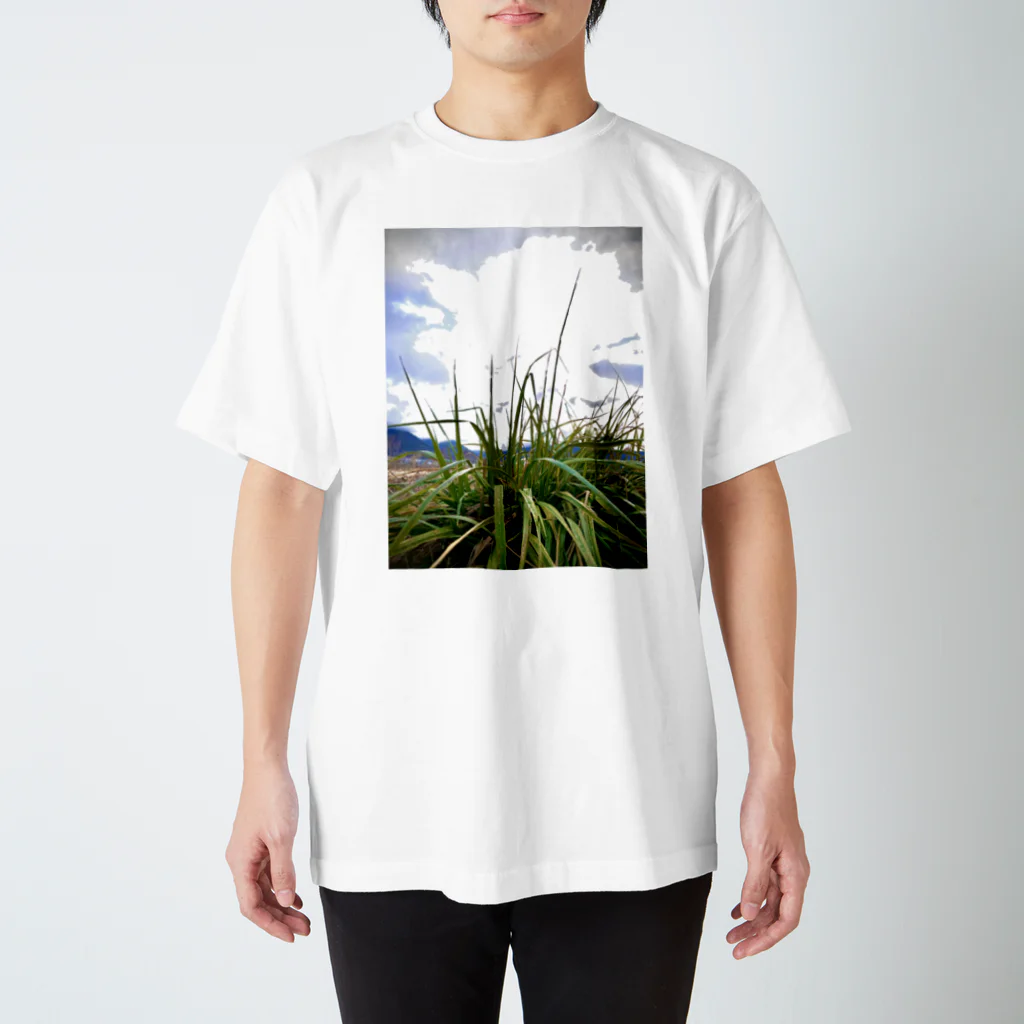 Poni_11の草かもぉ Regular Fit T-Shirt