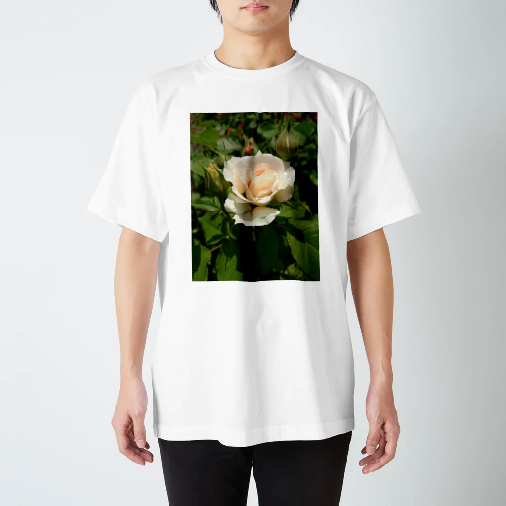 薔薇屋の薔薇Ⅰ スタンダードTシャツ