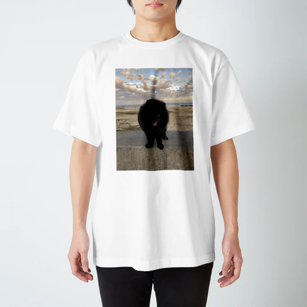 かねこまの空と犬 Regular Fit T-Shirt