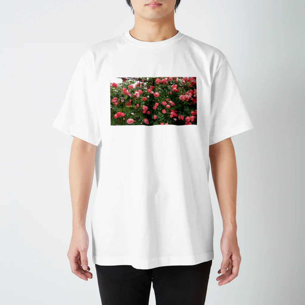 薔薇屋の群れ薔薇 スタンダードTシャツ