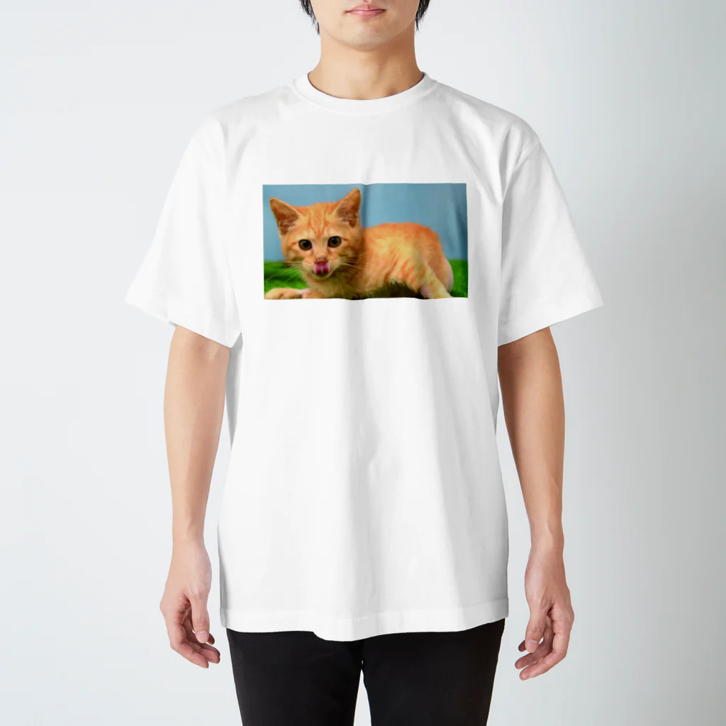 ベッキーちゃん支援グッズのペロッとベッキーちゃん Regular Fit T-Shirt