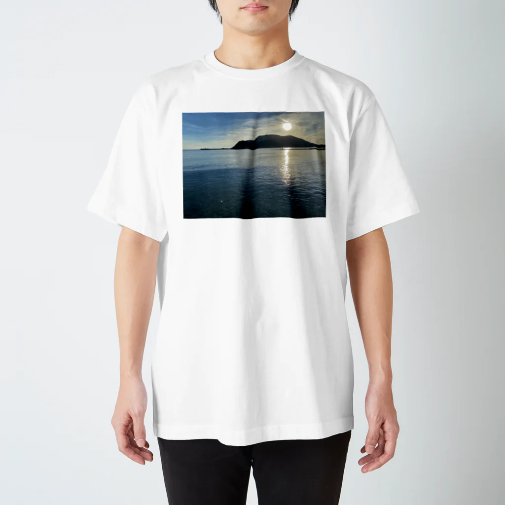 NaOtOの孤島 スタンダードTシャツ