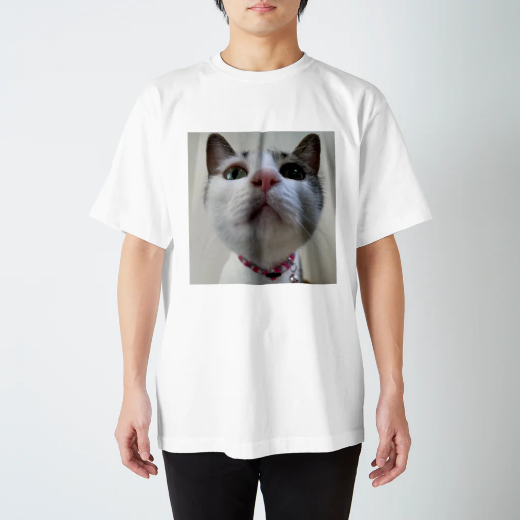 りるの近すぎるねこ Regular Fit T-Shirt