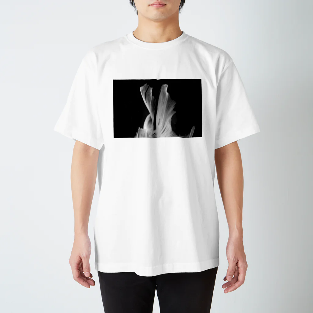 minami takenakaのキンギョ Regular Fit T-Shirt