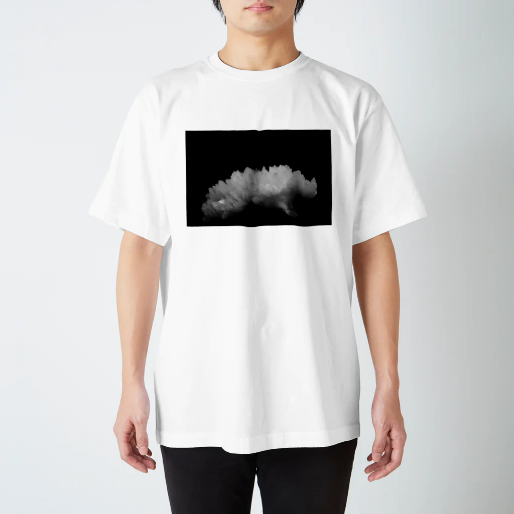 minami takenakaのコウセキ１ Regular Fit T-Shirt