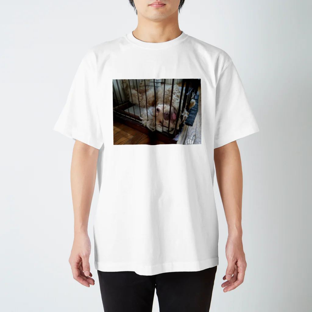 柴犬屋のdog スタンダードTシャツ