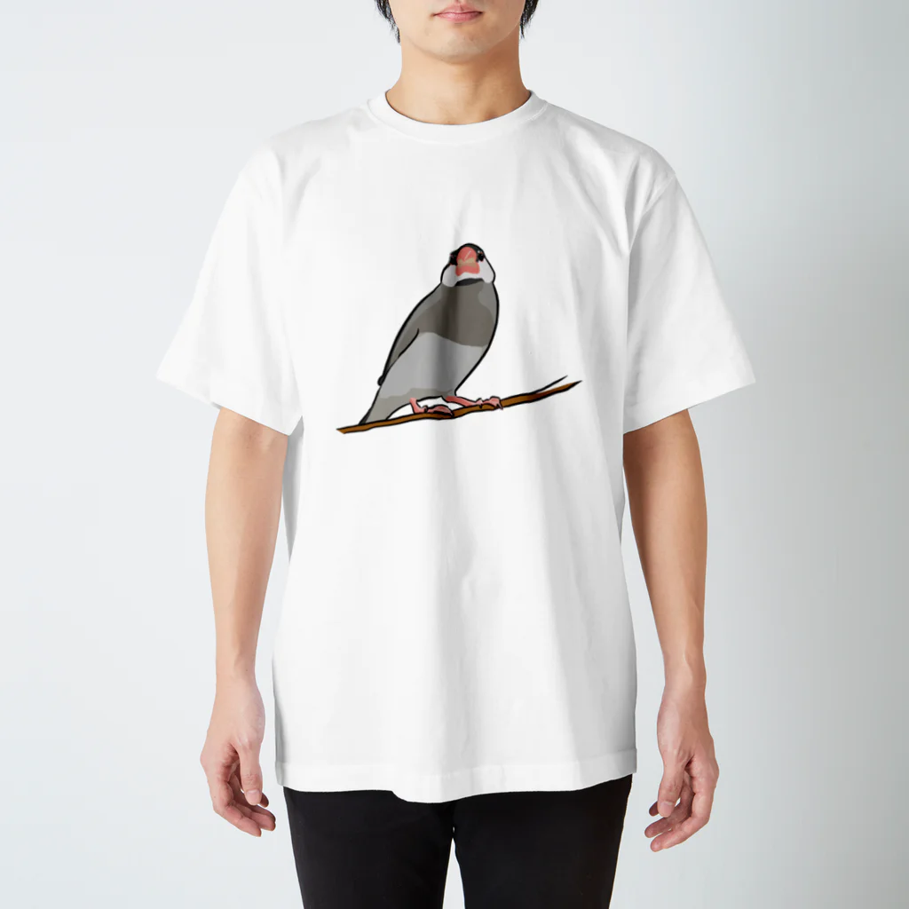 ぽっぴぶんぶんちょ工房の止まり木から眺める桜文鳥 Regular Fit T-Shirt