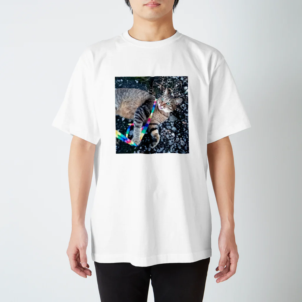 姉の自由猫だったあずき Regular Fit T-Shirt