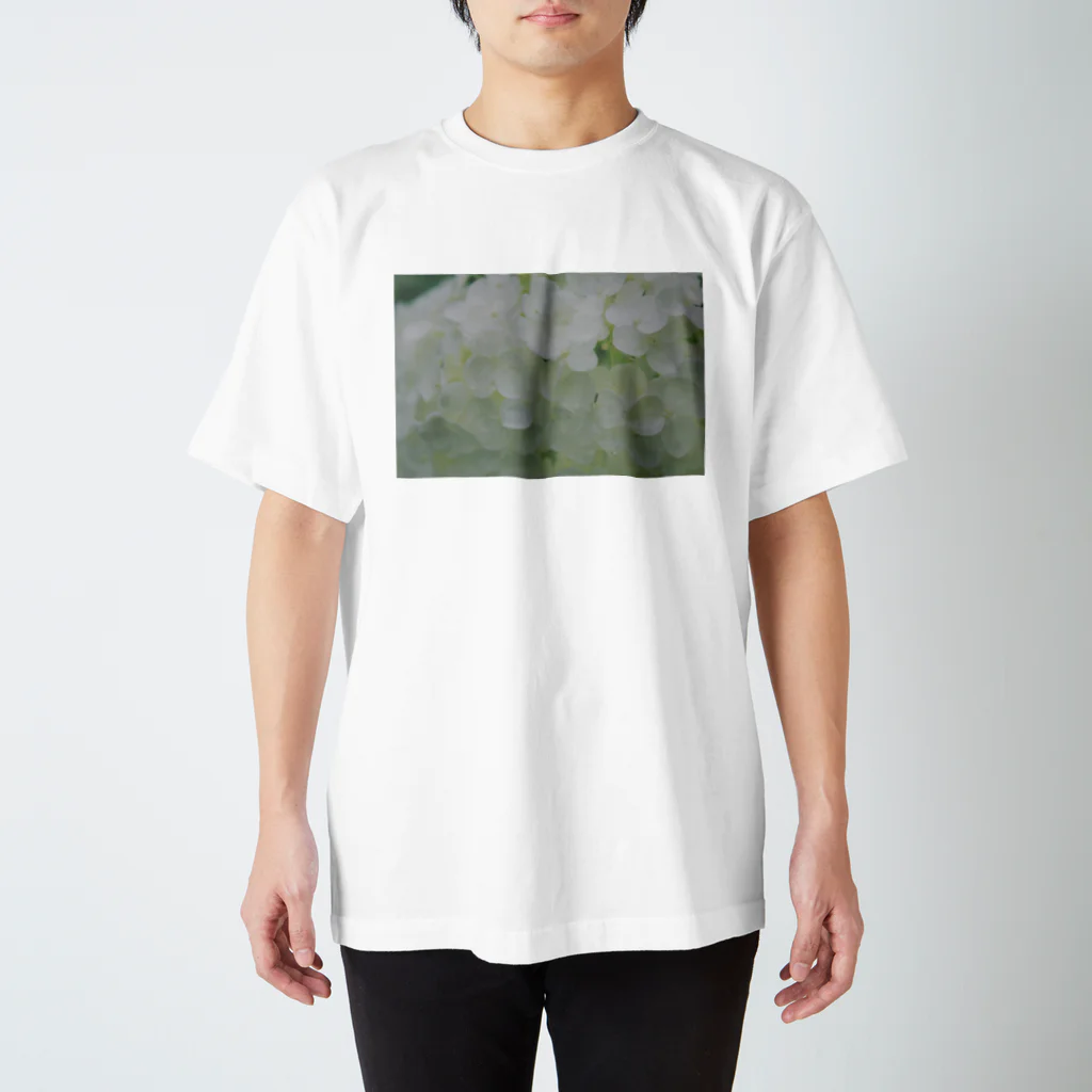 砂ずりの雨と白い紫陽花 Regular Fit T-Shirt