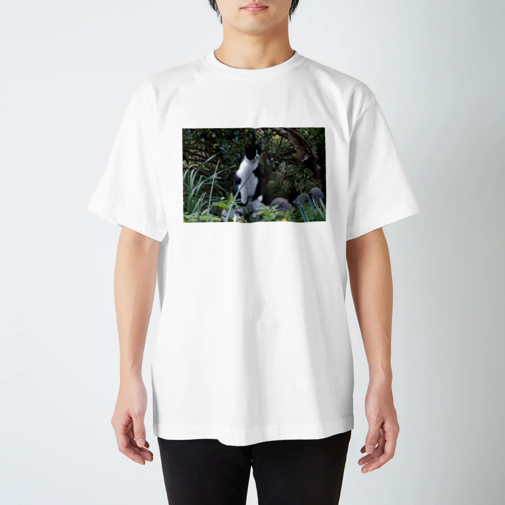 はっちゃんhachiko8535のhachiko_1 スタンダードTシャツ