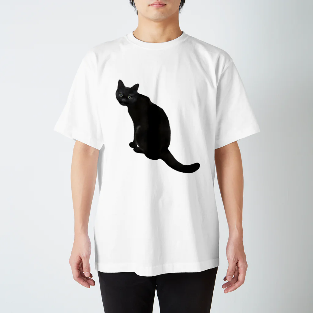 猫とやっし～ぃのアレコレの振り向く黒猫 スタンダードTシャツ