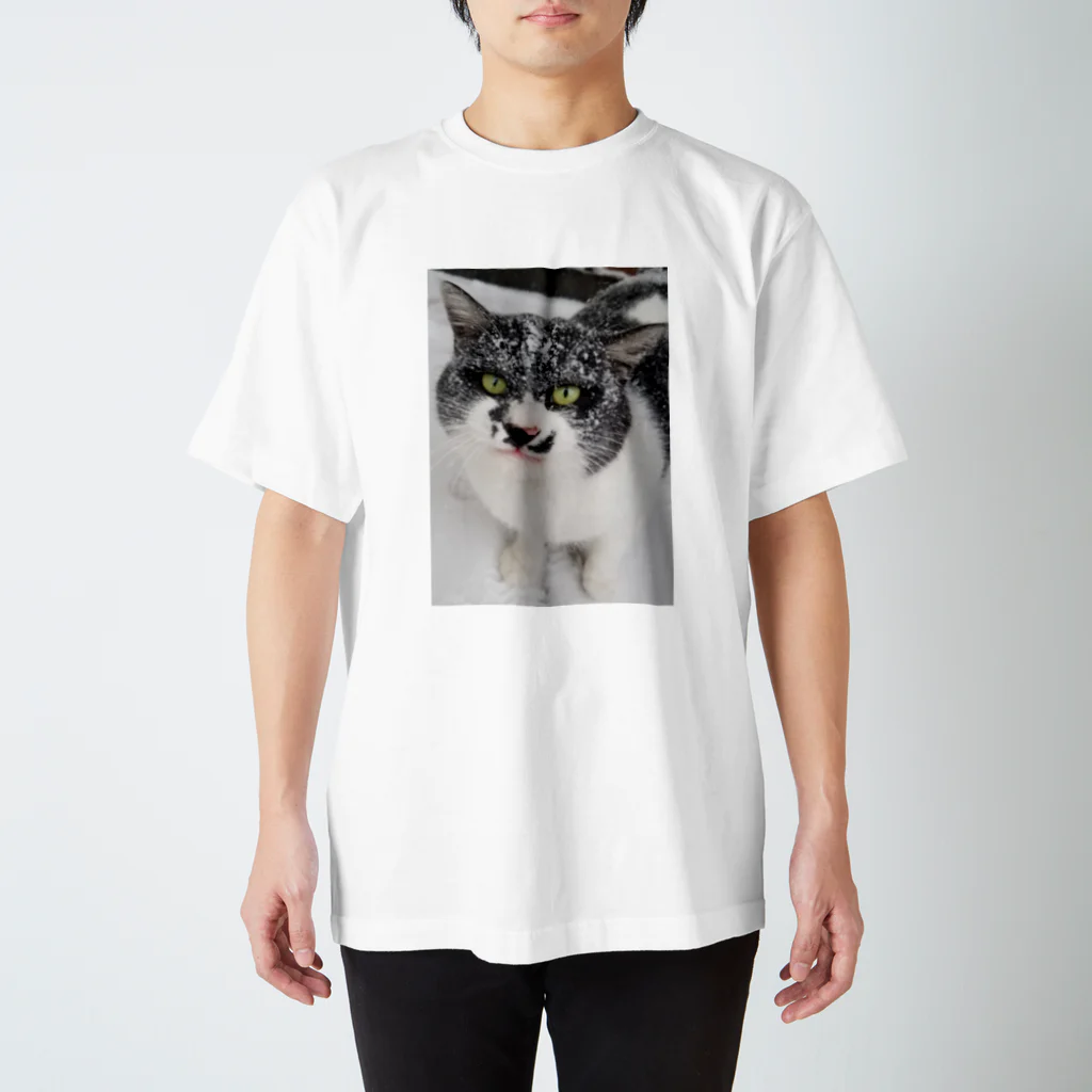 低脂肪のわるそうなねこ Regular Fit T-Shirt