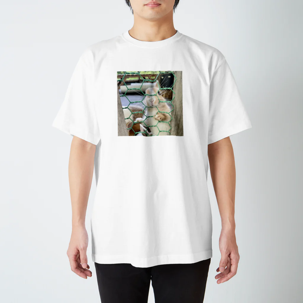 merqoのうさぎ2 Regular Fit T-Shirt