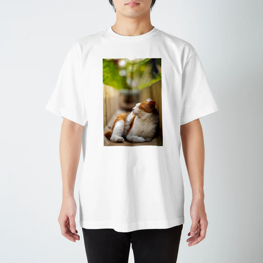 猫写真家「むに」のアトリエののんびりまったり スタンダードTシャツ