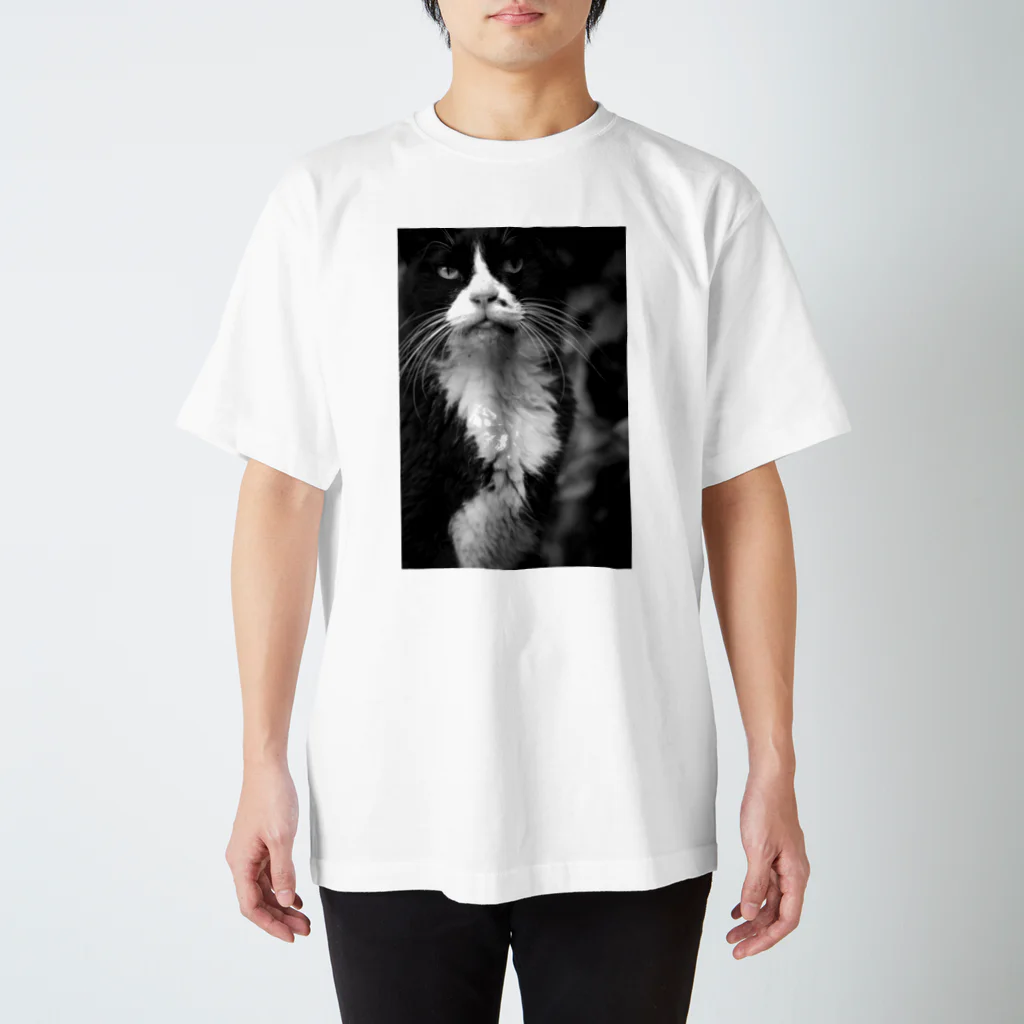 猫写真家「むに」のアトリエの猫どーん スタンダードTシャツ