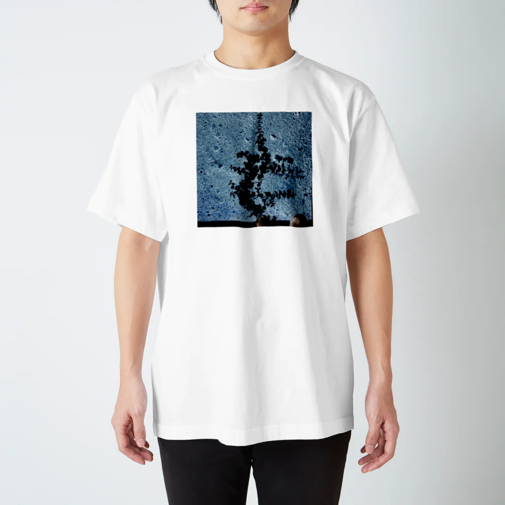 hibiのgrow スタンダードTシャツ