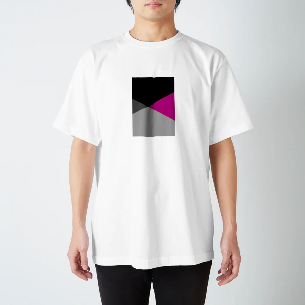 おーと屋の色違い Regular Fit T-Shirt