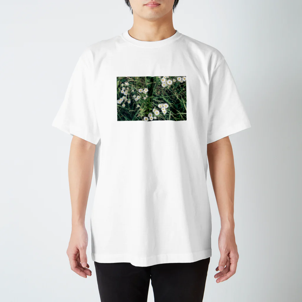 Gute Kleidungのdaisy スタンダードTシャツ