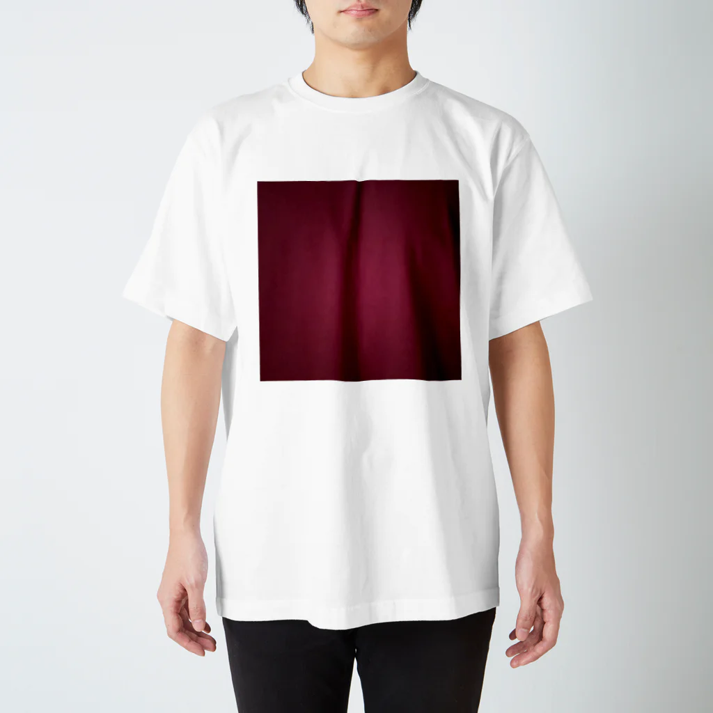 TOKYO STREET STICKERSのスクエア24:RP Regular Fit T-Shirt