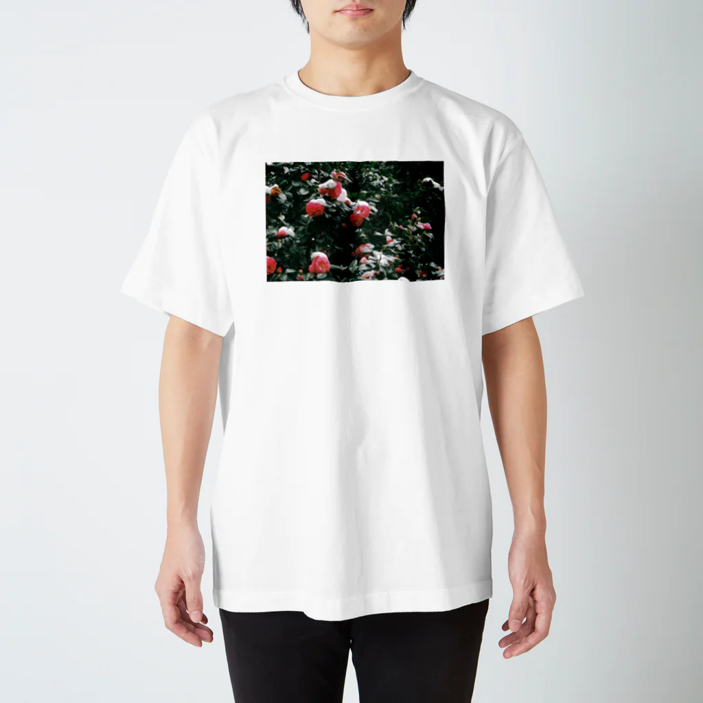 Camera! ファクトリーのCamellia snow factory スタンダードTシャツ