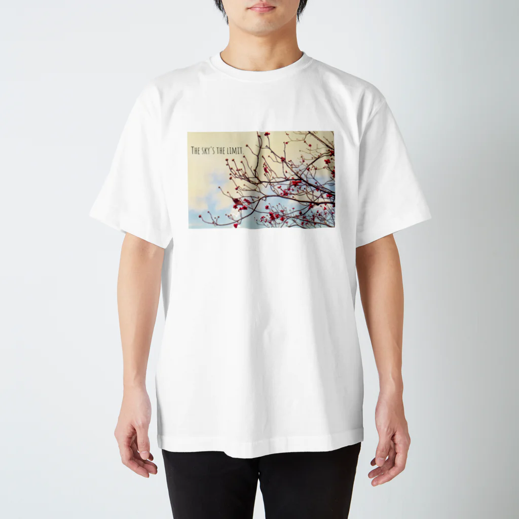 蛍石のThe sky’s the limit!  スタンダードTシャツ