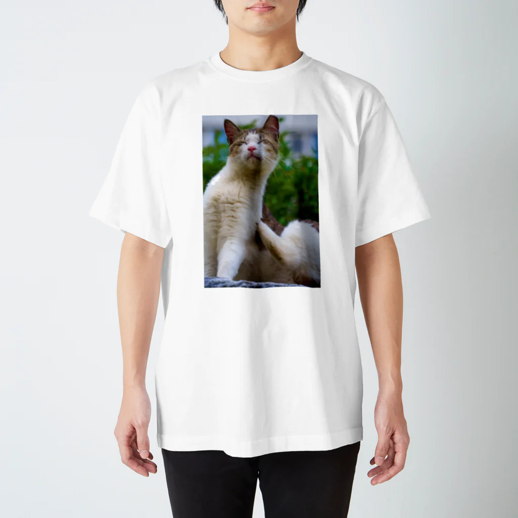 猫写真家「むに」のアトリエのかゆいニャ〜 スタンダードTシャツ