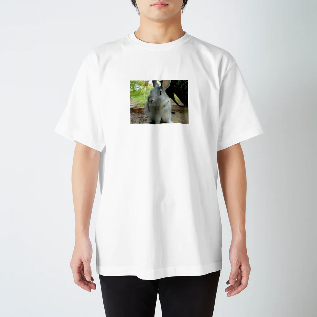 mikanbatakeのうさぎ　お散歩中 Regular Fit T-Shirt