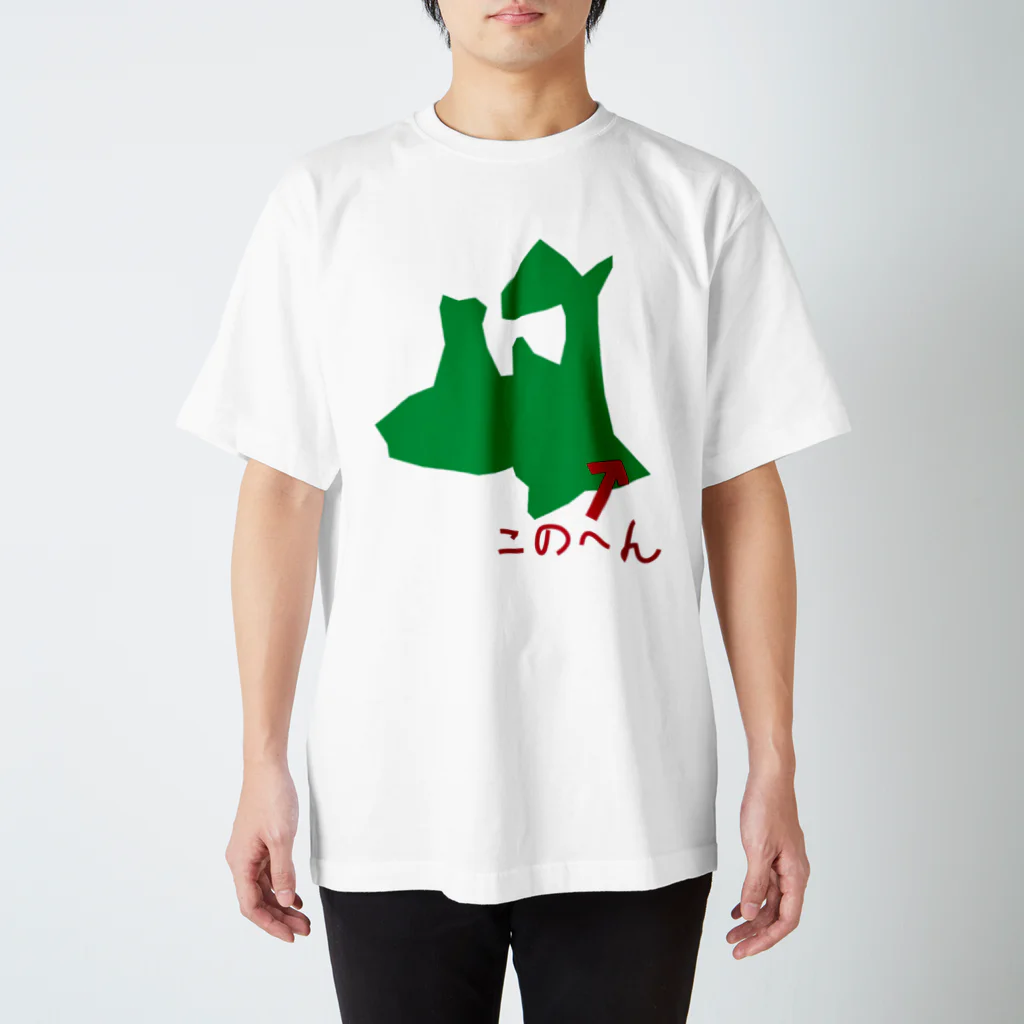 namdemoyaの八戸 スタンダードTシャツ