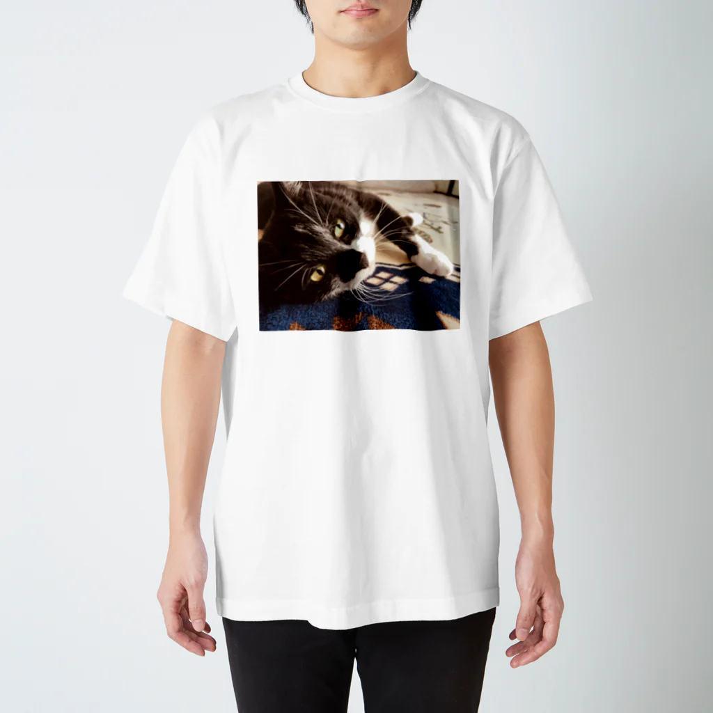 昼寝猫🐈‍⬛の奇跡の一枚 Regular Fit T-Shirt