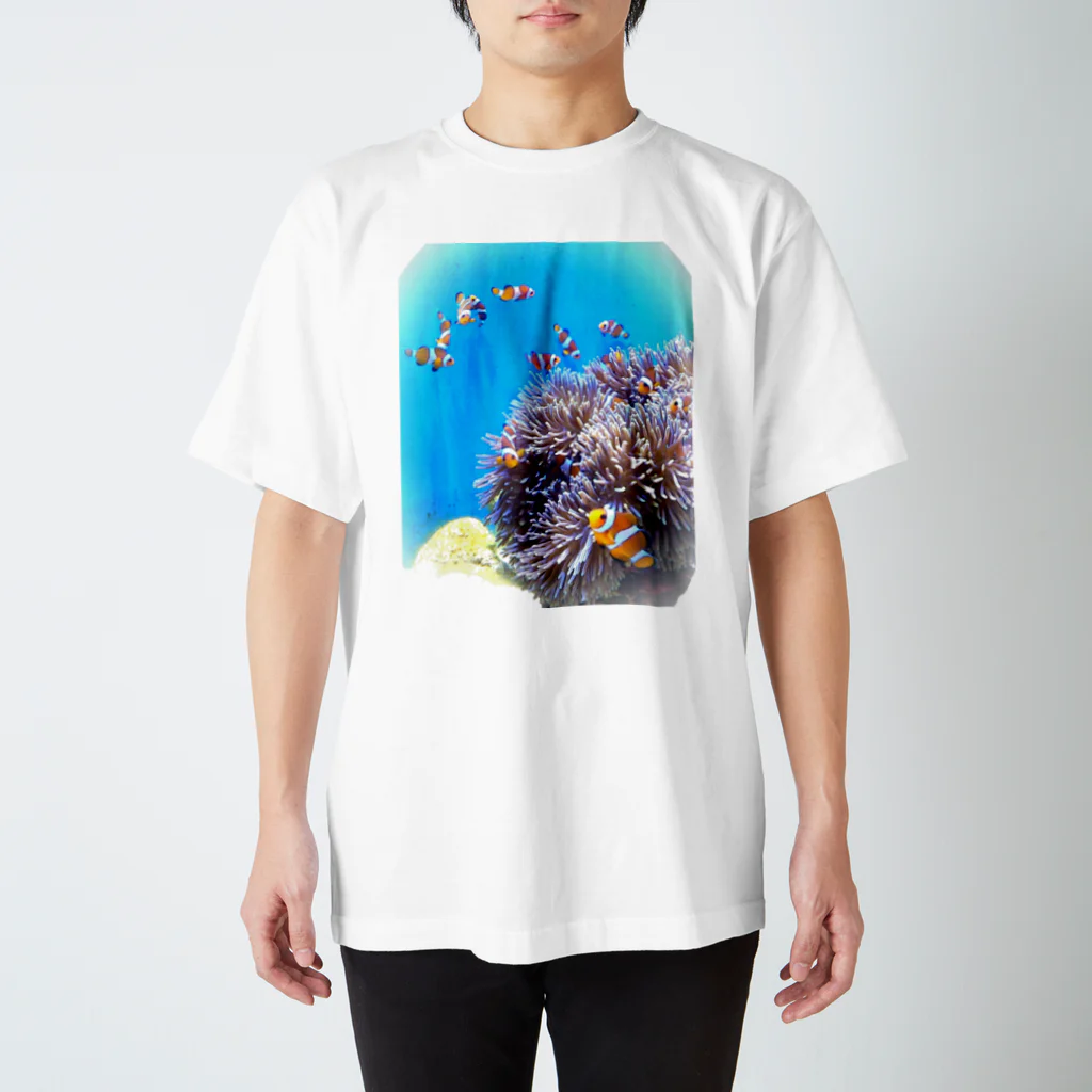 サーモン祭のカクレクマノミ スタンダードTシャツ