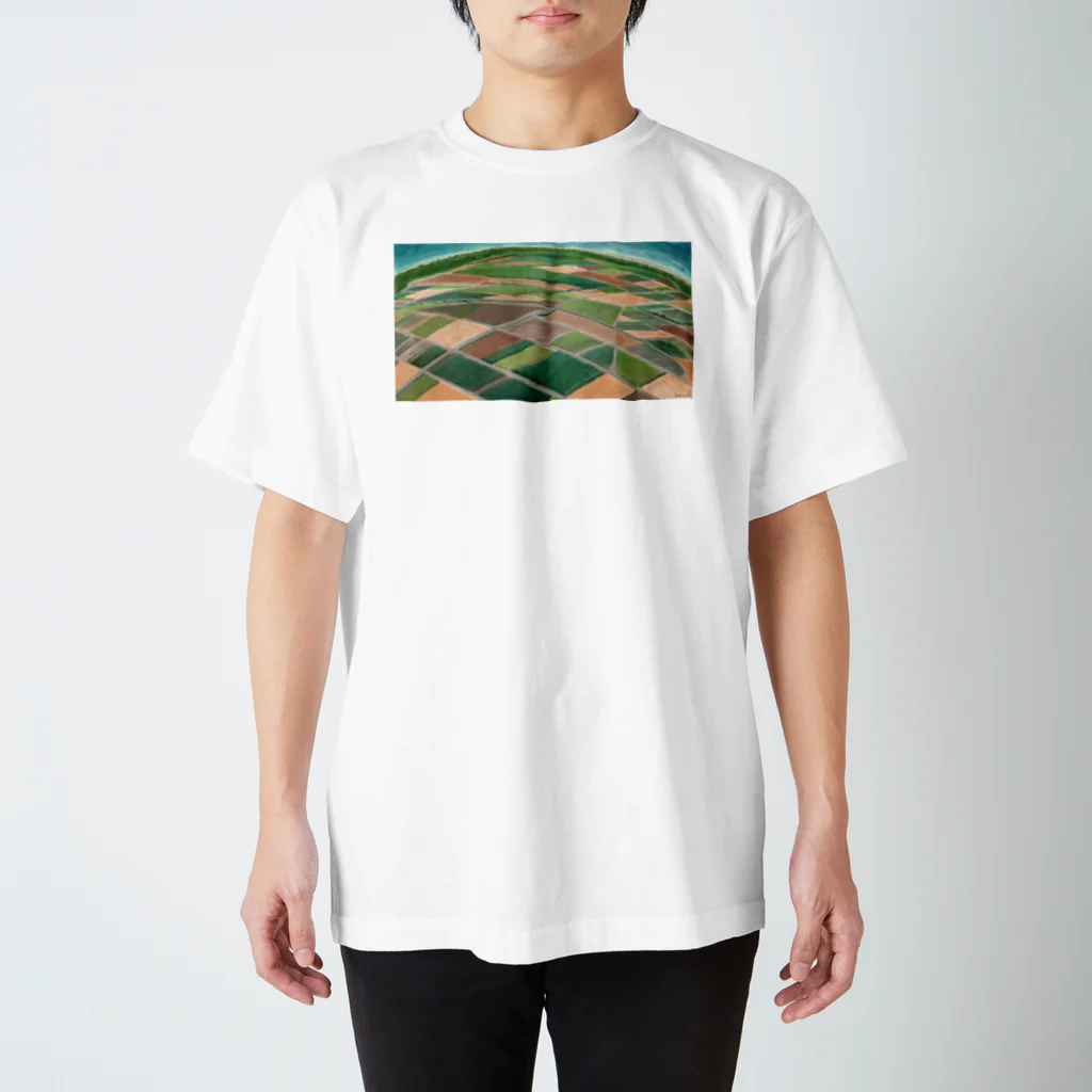 ガジュマルの箱のサトウキビ畑•沖縄（Sugarcane fields In Okinawa） スタンダードTシャツ