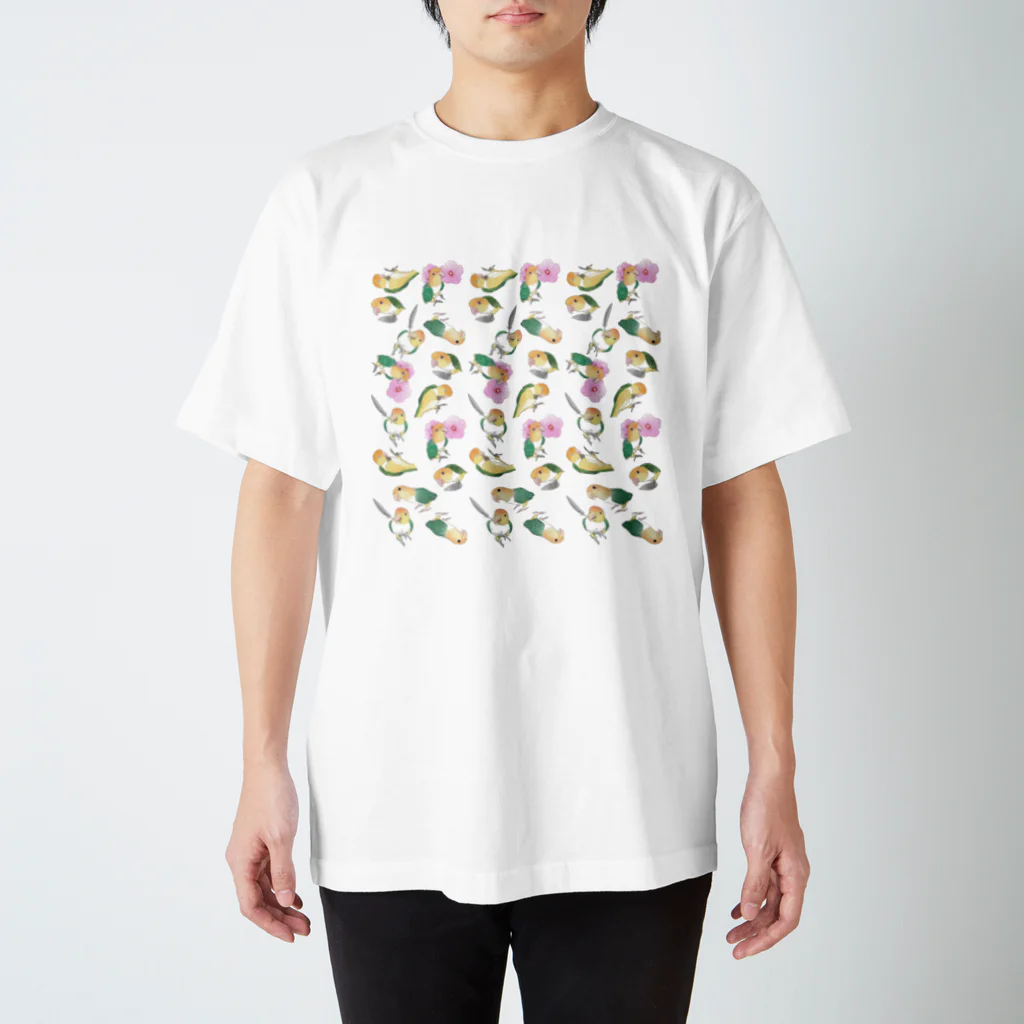 まめるりはことりのたっぷりシロハラインコちゃん【まめるりはことり】 スタンダードTシャツ