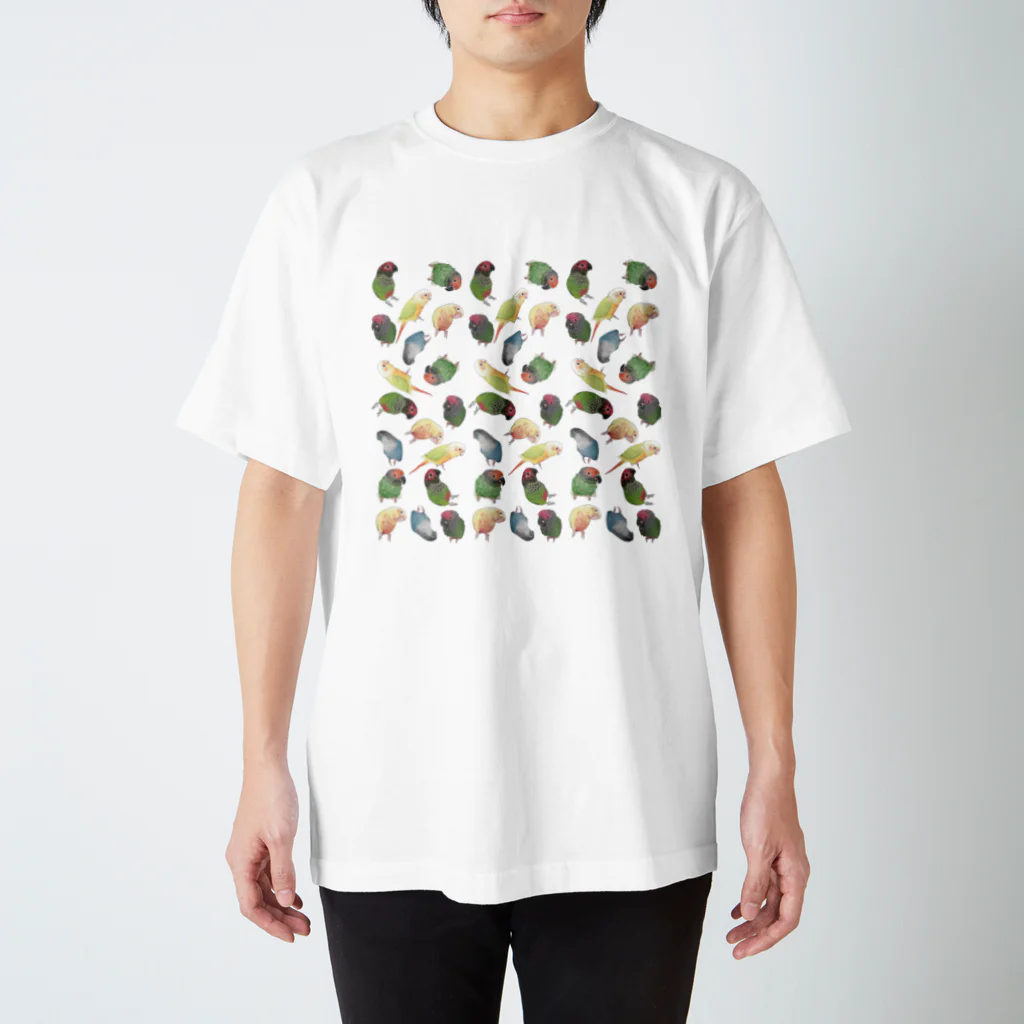 まめるりはことりのたっぷりウロコインコちゃん【まめるりはことり】 スタンダードTシャツ