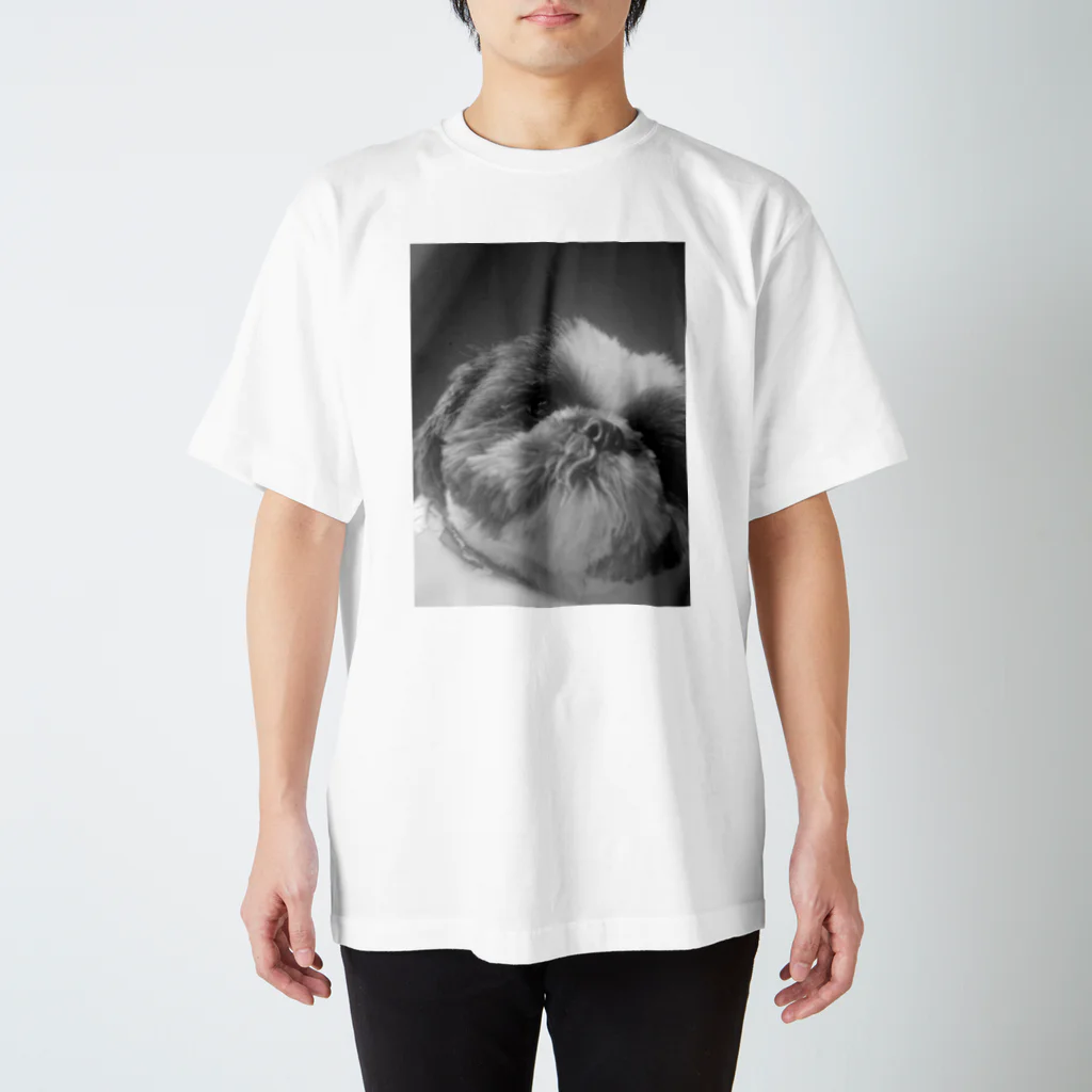 ももたろうのももたろう Regular Fit T-Shirt