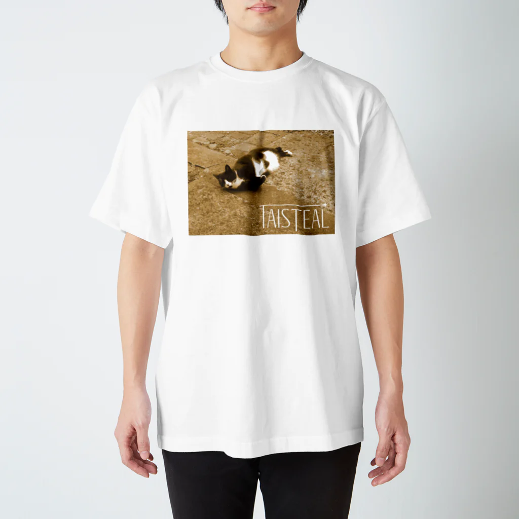 フォーヴァの猫1－taisteal－タシテル－ スタンダードTシャツ