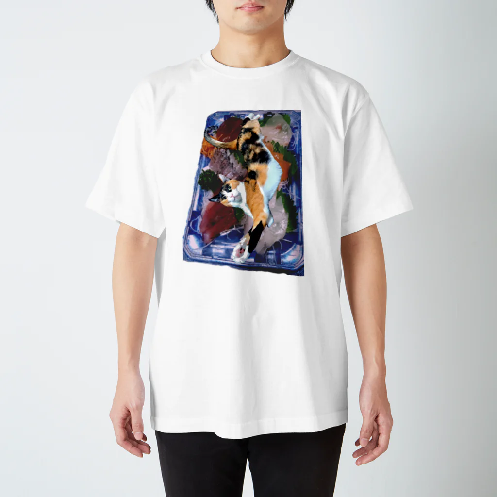 みっちょんのRegular Fit T-Shirt