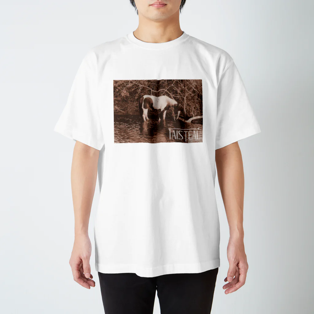 フォーヴァの馬2－taisteal－タシテル－ スタンダードTシャツ