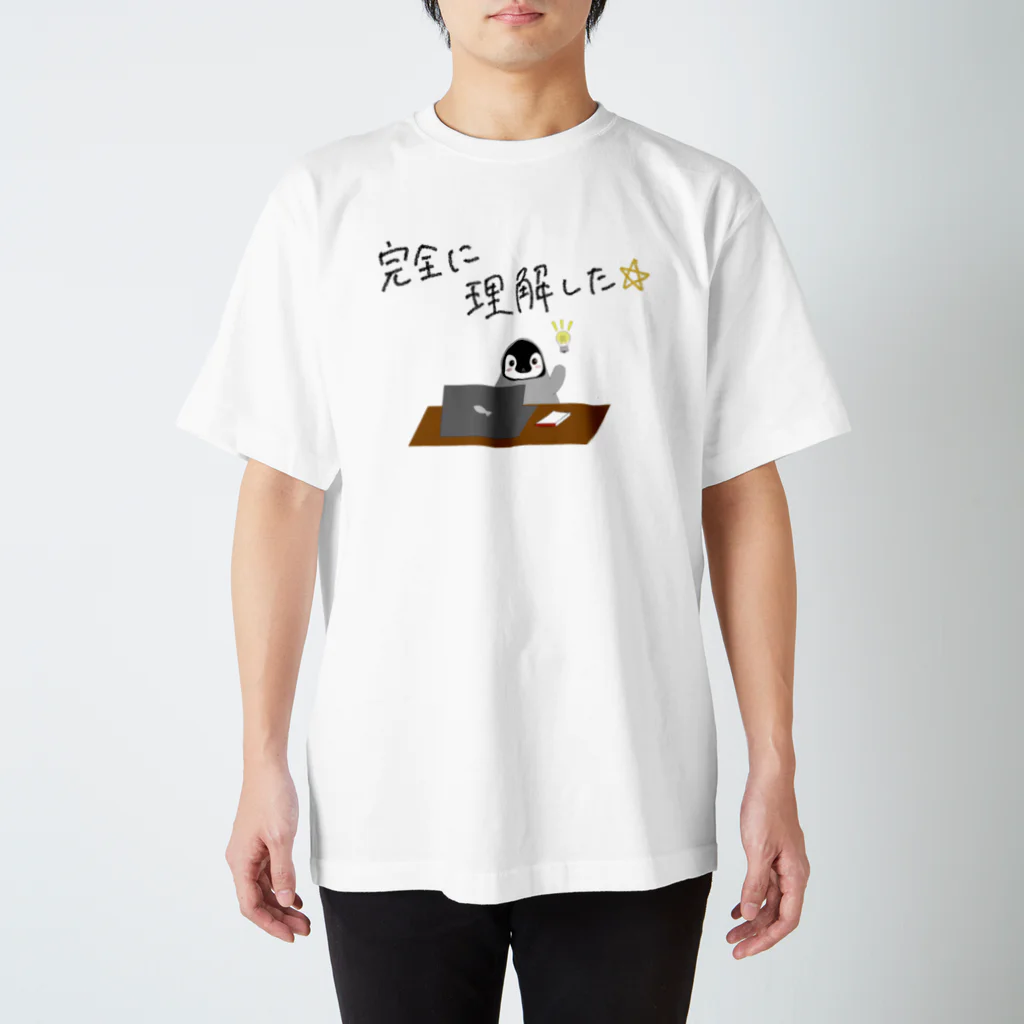 アレグロペンギン 🌥️ぺんちゃんの完全に理解したペンギン Regular Fit T-Shirt