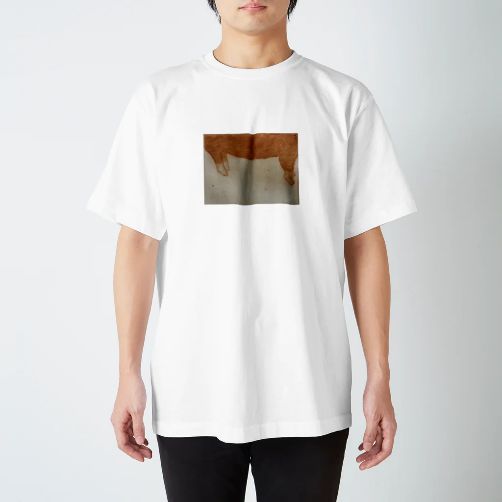 yamaguma23のぶひぶひ Regular Fit T-Shirt