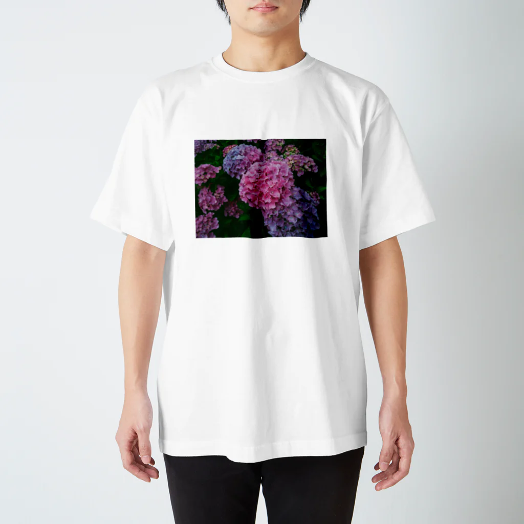 日常の一コマの紫陽花 Regular Fit T-Shirt